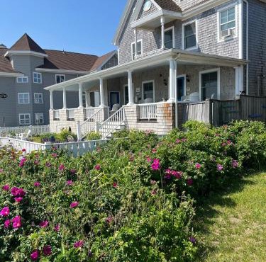 Inkwell Beach Cottage