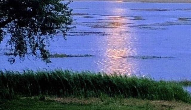 INLET SUNRISE MILLION DOLLAR VIEW! MARSH FRONT
