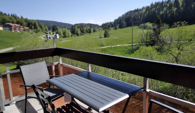 Insertion Dans la Nature