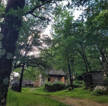 Insolite bergerie dans la forêt