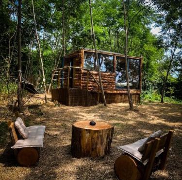 Insolite Le Coin du Bûcheron