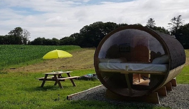 Insolite Tonneau Avec Bulle, en Forêt