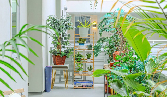 inspire hollywood king pool freepark