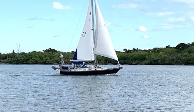 Intercostal paradise 🐬 🏖️ Romantic getaway🏝️