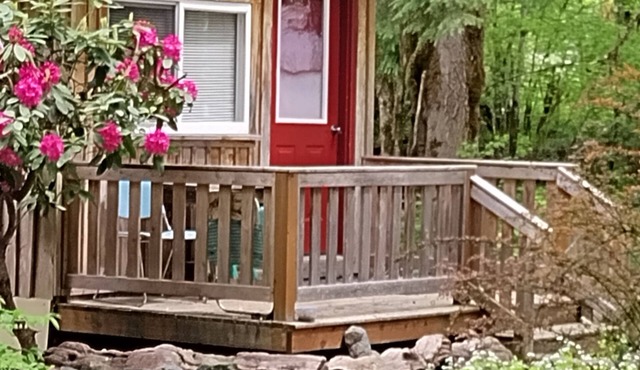 Intimate cabin for two near the entrance to the North Cascades - walk to shops
