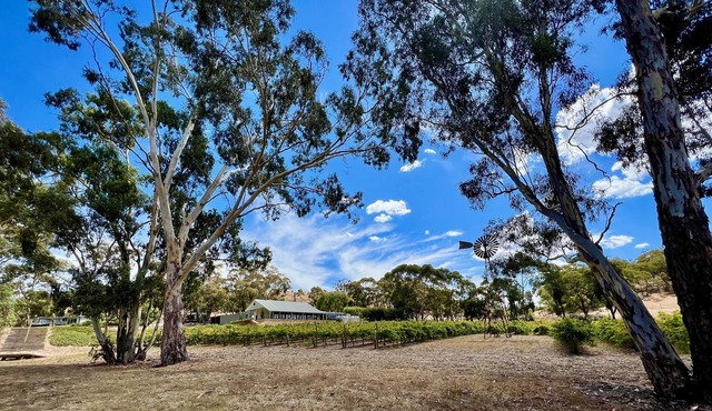 Intimate Vineyard Setting Minutes to Everything