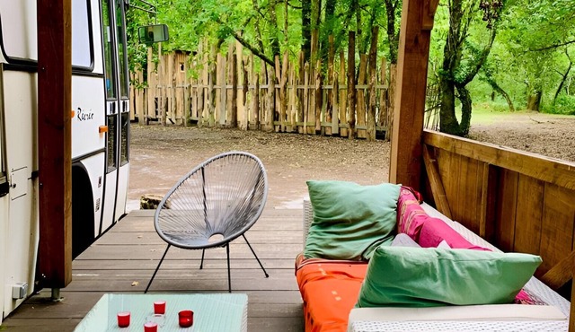 Into THE Wild : Notre "magic Bus"