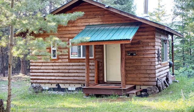Into the Woods Cabin - Rare, Remote, Relaxing.