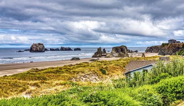 Inviting dog-friendly studio with unobstructed ocean views