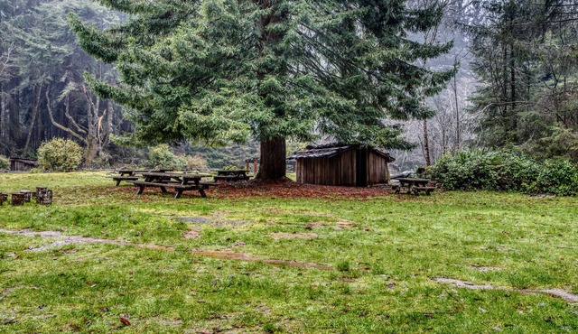 Inviting house w/a quiet yard to relax in & BBQ - close to beaches and redwoods