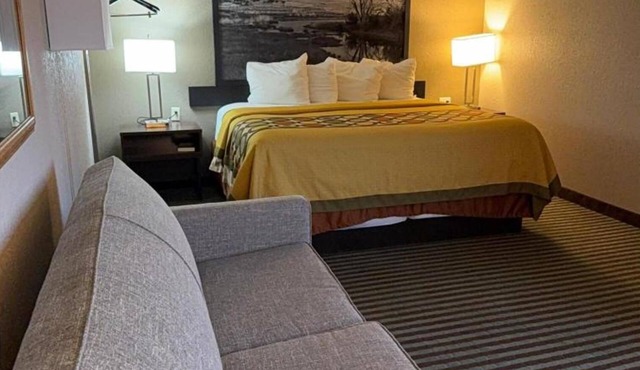 Inviting Lexington Suite Perfect for Travelers |Pet-Friendly Stay + Free Parking
