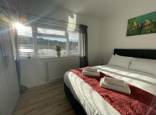 Inviting Urban Retreat