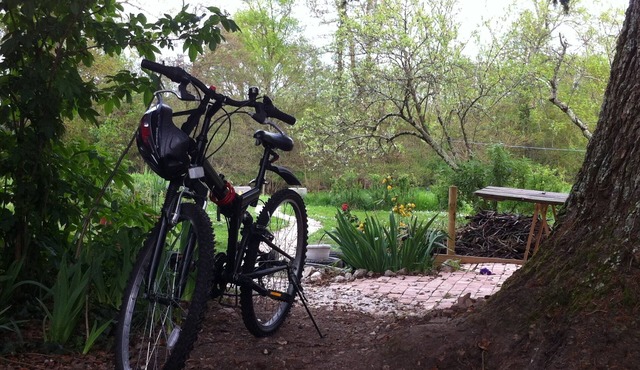 Iris Meadow Cottage in the midst of Dordogne's vineyards