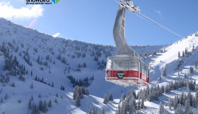 Iron BlosSnowbird unit 1010, South Facing Efficiency Closing week