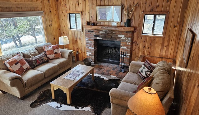 Iron City Cabin-Cozy Cabin with Hot Spring Fed Pool, Perfect for Families & Pets