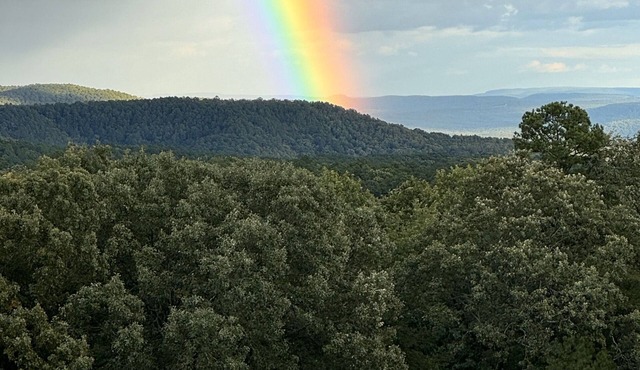 Iron Mt. Studio Cabin! Breathtaking Views! Fire Pit!