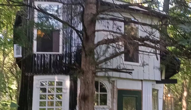 Irving's Gnome Dome Mushroom Sculpture Tiny House