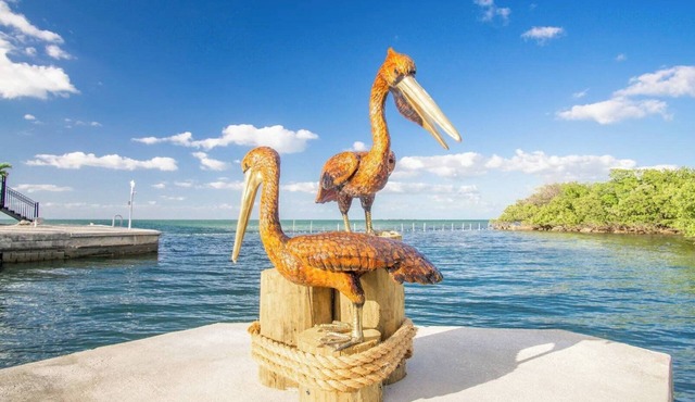 Isabella on Paradise Place 2 bed 2 bath with Exotic Magnificent pool and Open water views 200 ft of dockage