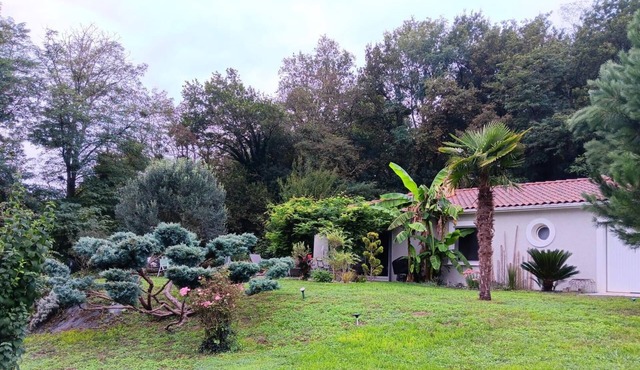 Island - Lestelle-de-Saint-Martory