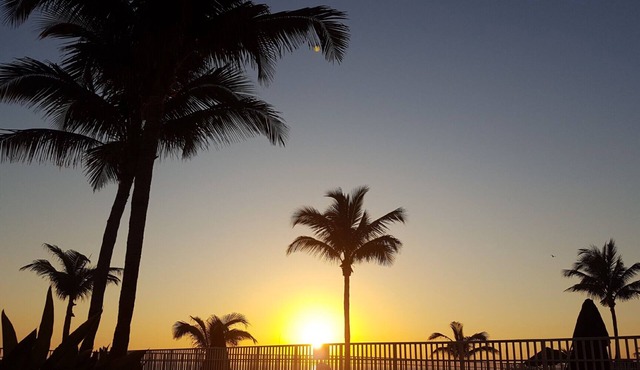 Island Beach Club Resort