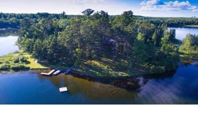 Island Getaway Northern MN Towering Pine Forest
