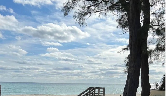 Island Newly Renovated 1 BR- King Bed