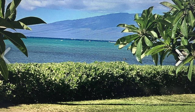 ISLAND OF MOLOKAI nWAVECREST A BUILDINGnSTEPS FROM OCEANn100+ PER NT /10 NT MIN