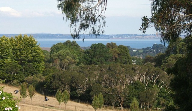 Island View Studio Red Hill - Private romantic couples retreat.