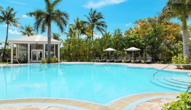 Island Views & Comfort | 4 Rooms at Blue Flamingo Key West l Pools & Cabanas