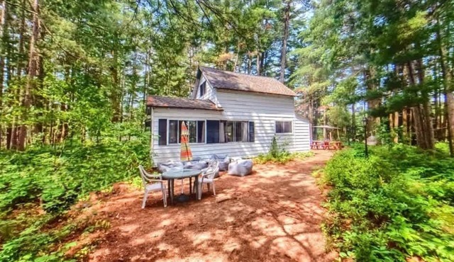 Island Waterfront w/Pontoon boat, HotTub, Dogs Lv!