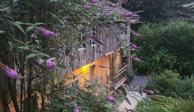 Isolated chalet in the heart of nature, forest, river.