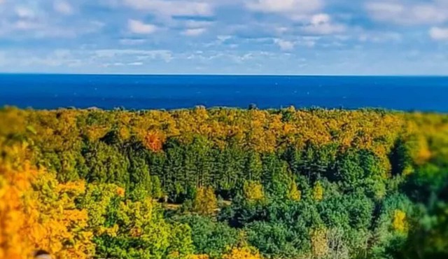 It's Color Tour Time - Come see the changing Colors at the Hideaway