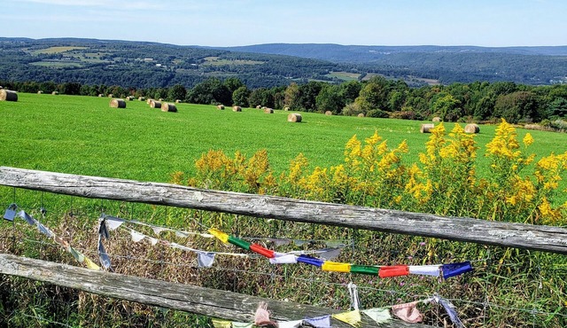 ITHACA NY- 36 Acre Retreat, Breathtaking Sunsets, Private, CU, IC, Privacy-Enjoy