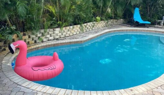 It’s always Summer here! Tropical vibes with heated pool, pets welcome!