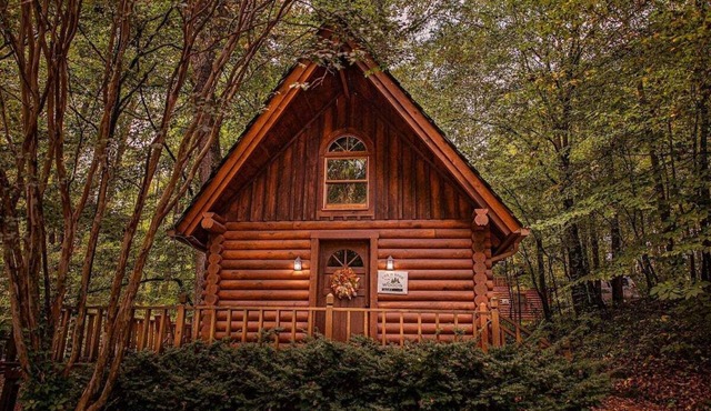 Ivy Cottage | Cute Cottage Along The Ocoee River