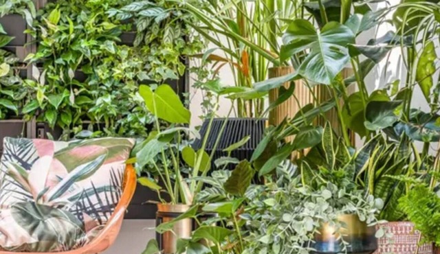 Ivy House, 6-beds, Sleeps 19 With Hot Tub