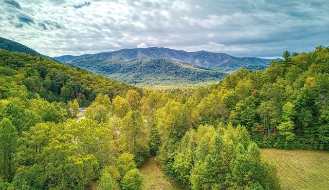 Ivy's Cottage, Pickleball Court, Creek, WIFI, Mountain Views, Starting at $50"