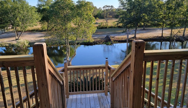 J & S's Pond Da Rosa A Place Apart From The Rest