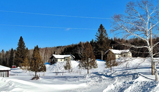 J19 South Direct Access for Snowmobilers King Suite In Town WiFi