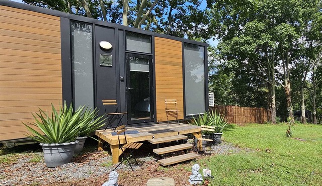 Jacaranda Mews Summar