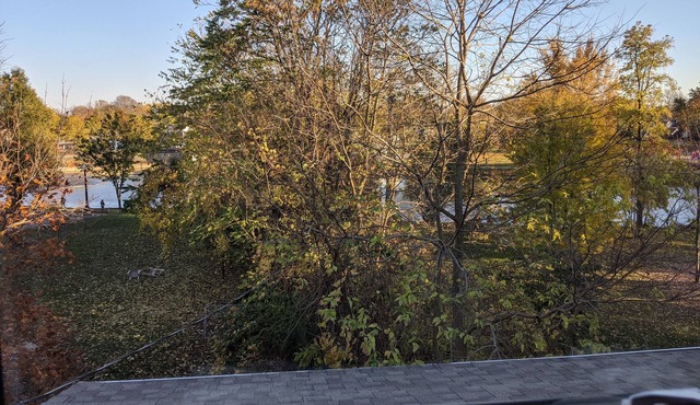 Jack's Joints on the River Apt B