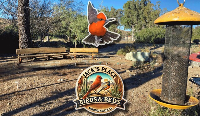 ~(‾▿‾)~ Jack's Place ~ Birding Bliss & Cozy Beds Await!