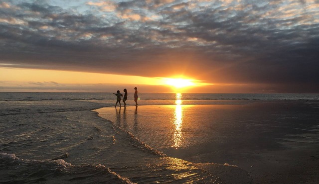 Jack's Shack - Spacious eco-friendly beach house. Great for families- sleeps 8.