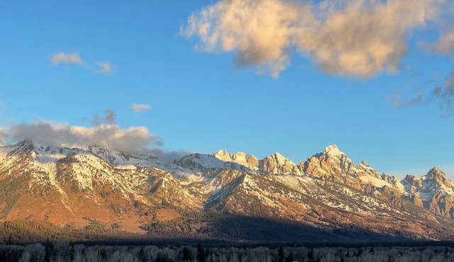 Jackson Hole Rustic Luxury | Cozy Cabin in the Tetons near Snake River |1BD 2BA