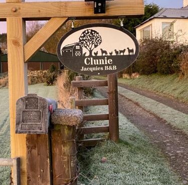 Jacquie's B&B -Dumfries-Room with a view