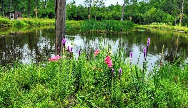 Jake's Place - A Peaceful and Private Wildlife Retreat. (hunt, fish and more!)