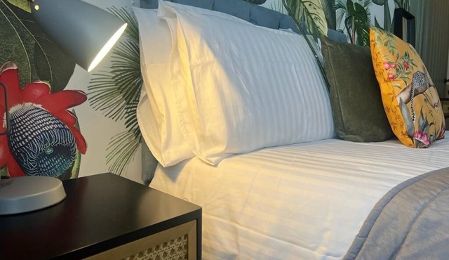 James' Place Dowlais self Catering Studio 5 Gelert