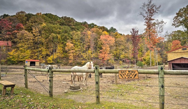 'James West' Apt w/50 Acres Near Raystown Lake