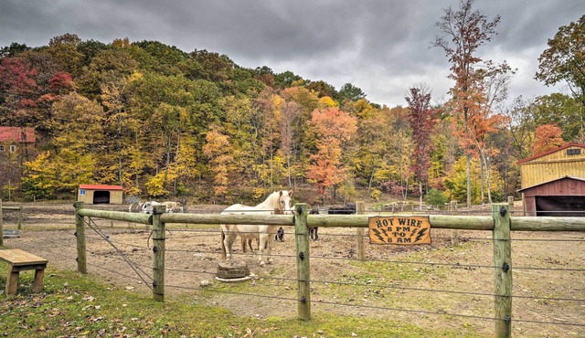 'James West' Apt w/50 Acres Near Raystown Lake