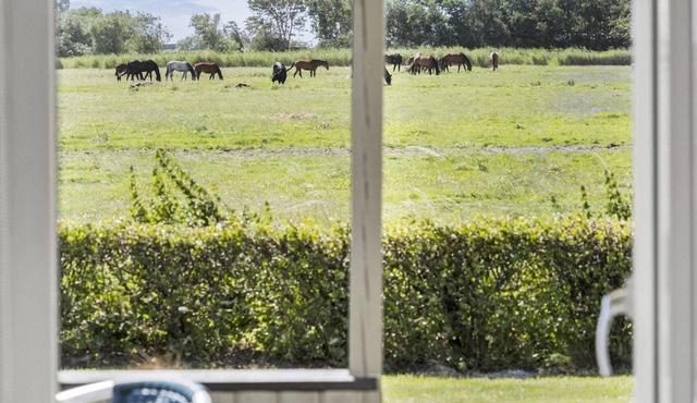 "Janin" - 400m from the sea by Interhome